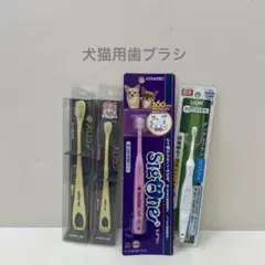 Item thumbnail for item 8c225b26-052c-4f39-a33e-fcde7c062e9f