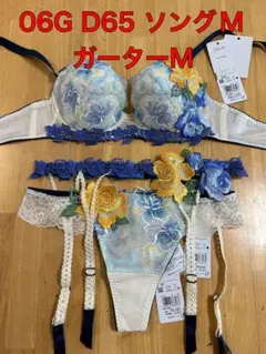 サルート 06 ov p-up D65 ソングM ガーターM 新品未使用タグ付き