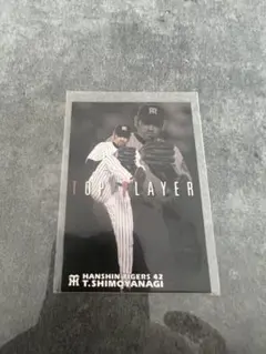 カルビー プロ野球チップス 下柳剛 TOP PLAYER