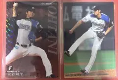 s*9様 大谷翔平 ルーキー スターカード プロ野球チップス