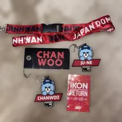 iKON JAPAN TOUR 2018 バッグ・グッズセット まとめ売り - メルカリ