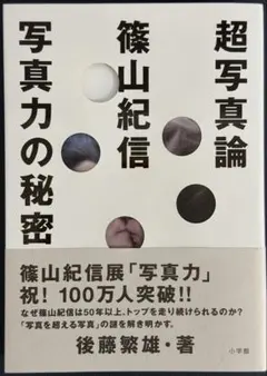 篠山紀信 アート