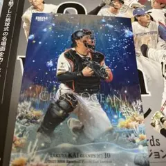 2025年最新】甲斐拓也 ユニフォームの人気アイテム - メルカリ