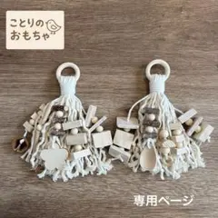 えみ様　専用ページ