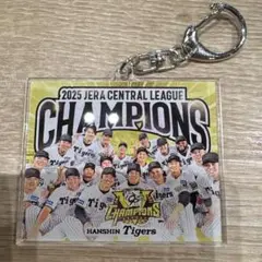 阪神タイガース 優勝グッズ シークレットアクリルキーホルダー 球場限定