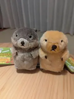 オリエンタルトーイ ぬいぐるみ ピグミー親子 - メルカリ