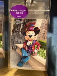 写真セット ミッキーマウスと仲間たち ハロウィン 10枚 新品未開封