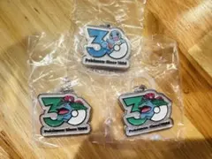 【匿名配送】ポケモン 30周年 メタルチャームマスコット
