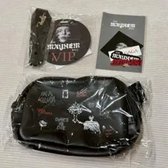 Lady Gaga レディーガガ 東京ドーム VIPシルバー席グッズ - メルカリ