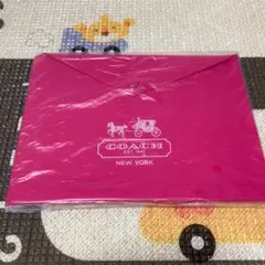 新品☆コーチ＊ビニールケース