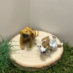 カイカイ　犬　灰色メロン　2種セット