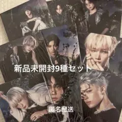 &TEAM Back to Life ROAR ソロ 新品未開封 9枚セット