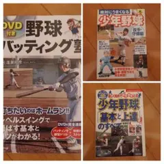 Item thumbnail for item 6aff333e-a7fc-4544-aee9-9d19d70142a2