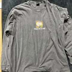 イギリス購入　Urban Outfitters グレー 長袖カットソー L