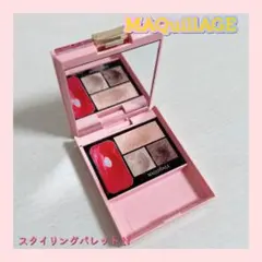 MAQuillAGE マキアージュ スタイリングパレット N