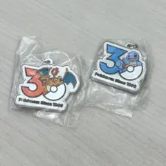 【匿名配送】ポケモン 30周年 メタルチャームマスコット　2点セット