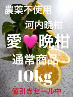 農薬不使用河内晩柑！「愛♡晩柑」木成りみかん10キロ！愛南町農園直送！のサムネイル