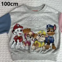 パウパトロール キッズトレーナー 100cm グレーのサムネイル