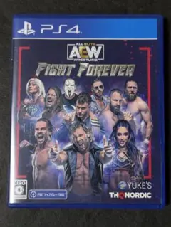 PS4 AEW: Fight Forever