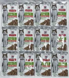 Item thumbnail for item a6b71fd5-f2b1-4166-8a21-a58705767a99