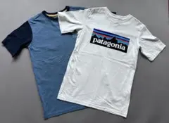 非売品2点】信越五岳patagonia Tシャツ - メルカリ