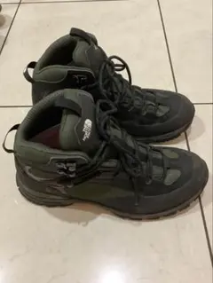 Item thumbnail for item d962a43a-edf1-4540-9a15-6d19ecf85581