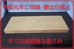 7まな板 イチョウ 天然木 500×200×25㎜ 木材 無垢一枚板 - メルカリ