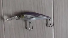 Item thumbnail for item 7826f020-9c33-4dbb-9754-1282626b952d