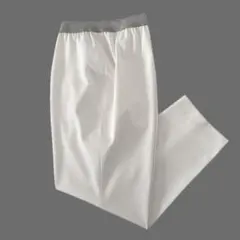 美品 レリアン ウォッシャブル ストレッチスリムパンツ 大きいサイズ 15号