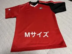 Item thumbnail for item 8441a080-7a84-4829-9d55-2494accefe81