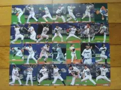 2026年最新】プロ野球チップス2014の人気アイテム - メルカリ