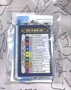 新品未開封　第１７３回天皇賞（春）　想い出馬券ホルダー　　２０２６