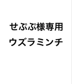 せぷぶ様専用ページ