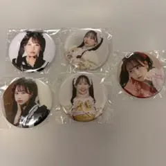 FRUITS ZIPPER 松本かれん　缶バッジ　5個まとめ