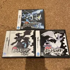 DS ポケットモンスター　ケースのみ
