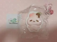 squishboom スクイーズ　スクイッシュブーム