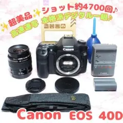 ✨️Canon EOS 40D✨美品 ショット4700回 Wレンズ 高速連写 - メルカリ