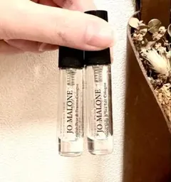 イングリッシュペア＆ウッドセージ★サンプル2本セット