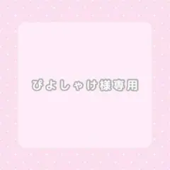 ぴよしゃけ様 リクエスト 3点 まとめ商品