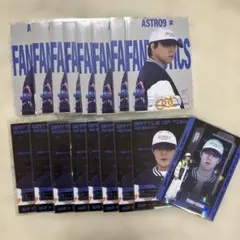 BOT FANTASTICS 世界 フォトカ シクレ 17枚セット