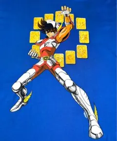 00s デッドストック 聖闘士星矢 Tシャツ ドリームカラーズ タグ付 アニメ