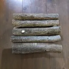 Item thumbnail for item 13e52d80-0db9-4b63-be2a-0665b5b690e4