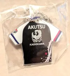 BOSS　MリーグコラボTシャツ　ロンT　サクラナイツ Mリーグ】チームロゴ ロンT KADOKAWAサクラナイツ – アキバ運輸