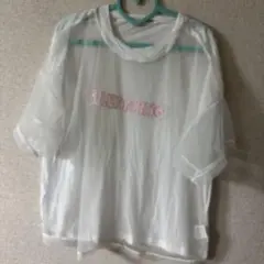 RNA 刺繍入りシアーTシャツのサムネイル