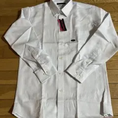 Item thumbnail for item fbbb1841-d25c-4945-92ce-dc8d638a76d3