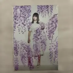 〖 乃木坂46 〗フォーシーズンズポストカード 与田祐希