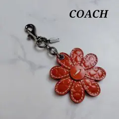 COACH レザー キーホルダー 星座 Taurus 牡牛座 ピンク - メルカリ