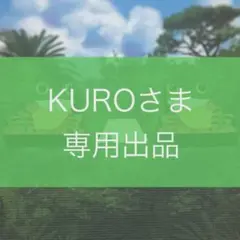KUROさま　専用出品