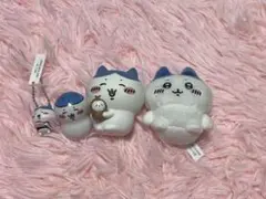 ちいかわ ハチワレ セット