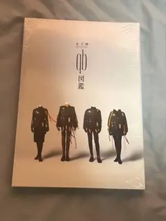 【新品・未開封】女王蜂 qb図鑑